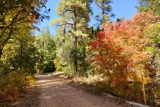 Close to nature: My Thrilling First Trail Trekking Experience