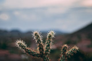 The Use of Spikes in Sprints