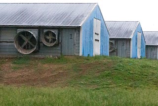 Judge rules Ag Department ignored poultry farm impacts