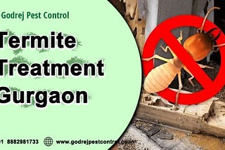 Guarding Your Home: Understanding Cost of Termite Treatment in Gurgaon with Godrej Pest Control