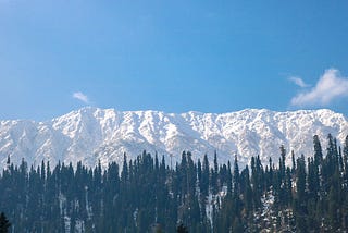 -Arang Kel, Kashmir, God’s green Earth. Nov 5th 2018.