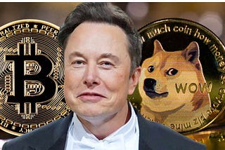 A Letter to Elon Musk