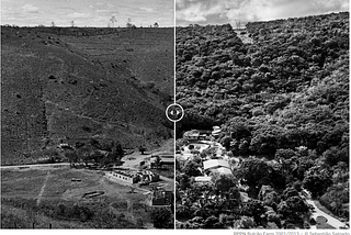 Two photos side by side. The one of the left shows a degraded farmland with not trees. The one on the right shows the land years later restored as a forest.