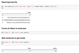 Python Pandas : Word Count Program