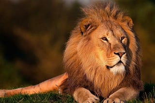 Leo 2021 Horoscope