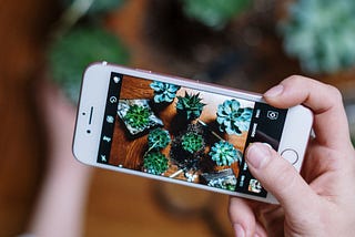 Building a more trustworthy plant care app through community connection — a UX case study
