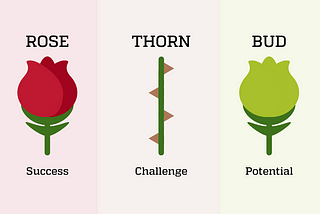 Rose, Thorn, Bud