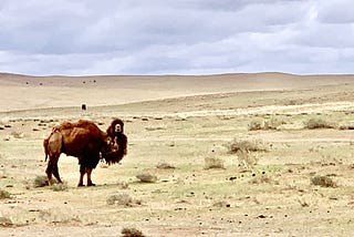 Mongolia’s “Grand Canyon” in the Gobi Desert