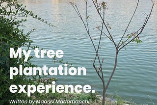 My tree plantation experience!