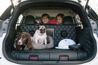 Innovation on Wheels: the CleverPet Hub meets the Nissan X-Trail 4Dogs