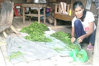 How my research empowers the upland farmers of the Philippines