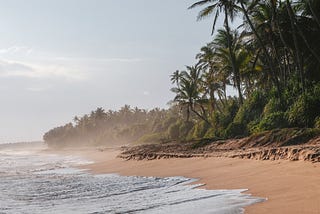 Coastal Ecosystems as Nature-Based Solutions for Climate Change