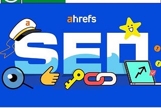 SEO Service in Napier Hasting