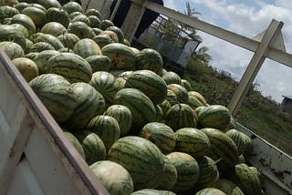 Another Watermelon Journey