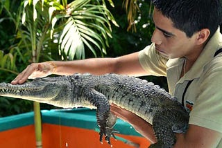 Crococun Zoo