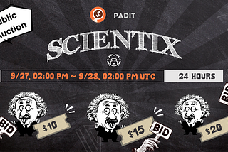 ​​Padit X Scientix Auction Tutorial