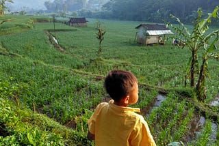 Peran Modal Sosial bagi Pengembangan Usaha Desa