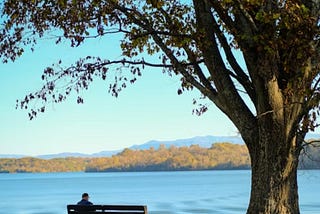 The delicate balance between speaking and not speaking