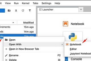 To open python file in jupyter notebook and execute like interactive cmd