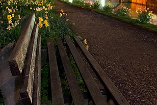 Spring Evening, Cambridge, England