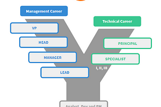 PM Career at Passei Direto