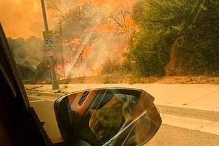 Palisades Fire Survivor: Peter Viles