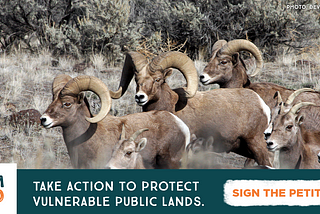 Fix the Plans to Protect Public Lands