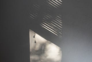 A photo of the shadow of leaves and blinds through a window.