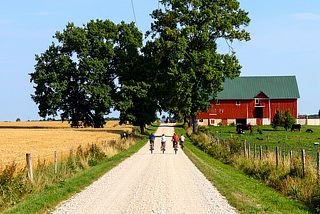 Four boys are riding bicycles on a dusty country road with a golden field on one side and grass on the other. There are trees further ahead and a large red barn with a green roof.