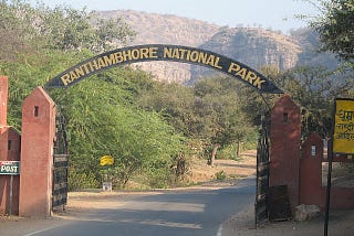 The Ranthambore National Park remains open for visitors as per safari timing from the 1st October…