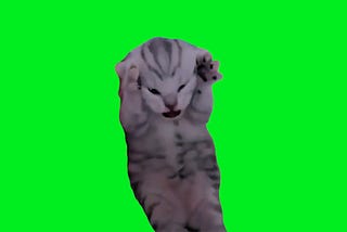 Kitten Screaming Meme 4k Green Screen