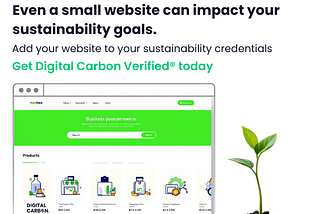 The Environmental Impact of Small Websites is Insignificant — True or False?