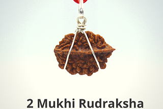 A silver Capped Image of 2 Mukhi Rudraksha Bead (Image originally clicked at Rudrakshahub’s Office Studio)