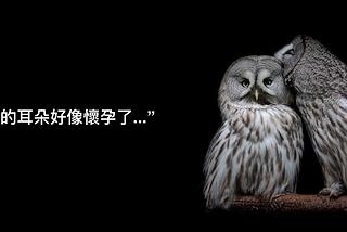#觀點【文字、圖片、影片…啊，聲音！聲音為什麼是最深入人心的行銷利器？】Caii咔喉咿智能語音
