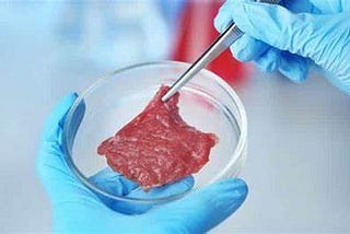 Why We Need In-Vitro Meat