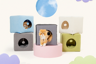 A Cozy Cat Cube for Relaxation and Play