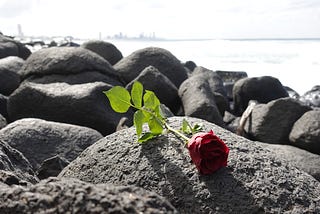 Burleigh Over The Border