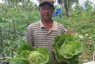 Simak Cerita Dibalik Sayur yang Kamu Makan