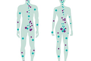 Le système endocannabinoïde : tout savoir