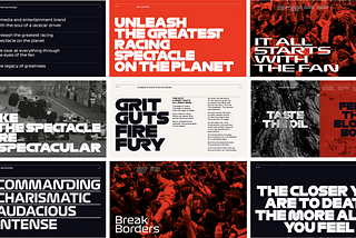 Development of a brandbook for a sports brand. What should be taken into account?