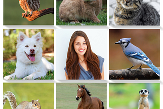 A three by three grid containing pictures. Row 1 (left to right): owl, rabbit, cat. Row 2 (left to right) dog, woman, blue jay. Row 3 (left to right) squirrel, horse, weasel.