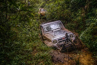 Il trogolo degli Open Data