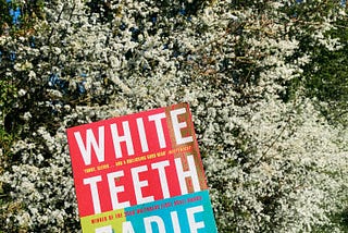 Review of White Teeth by Sadie Smith