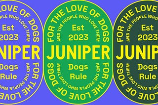 Coming soon: My new company, Juniper