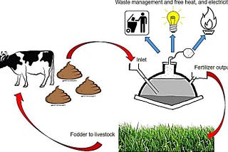3 Bioenergy sources that farmers should seriously consider using in 2025 to boost sustainability…