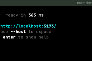 Console output of a running vite project