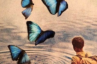 Butterfly Effect in Business