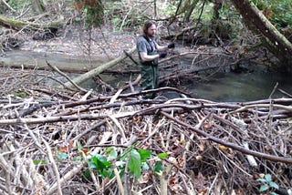 A man in a river assessing clean up after a storm.