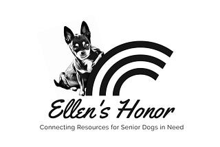 Senior Dog’s Health Concerns and Supporting Their Care