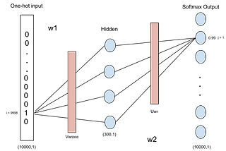 A Mathematical dive into word embeddings